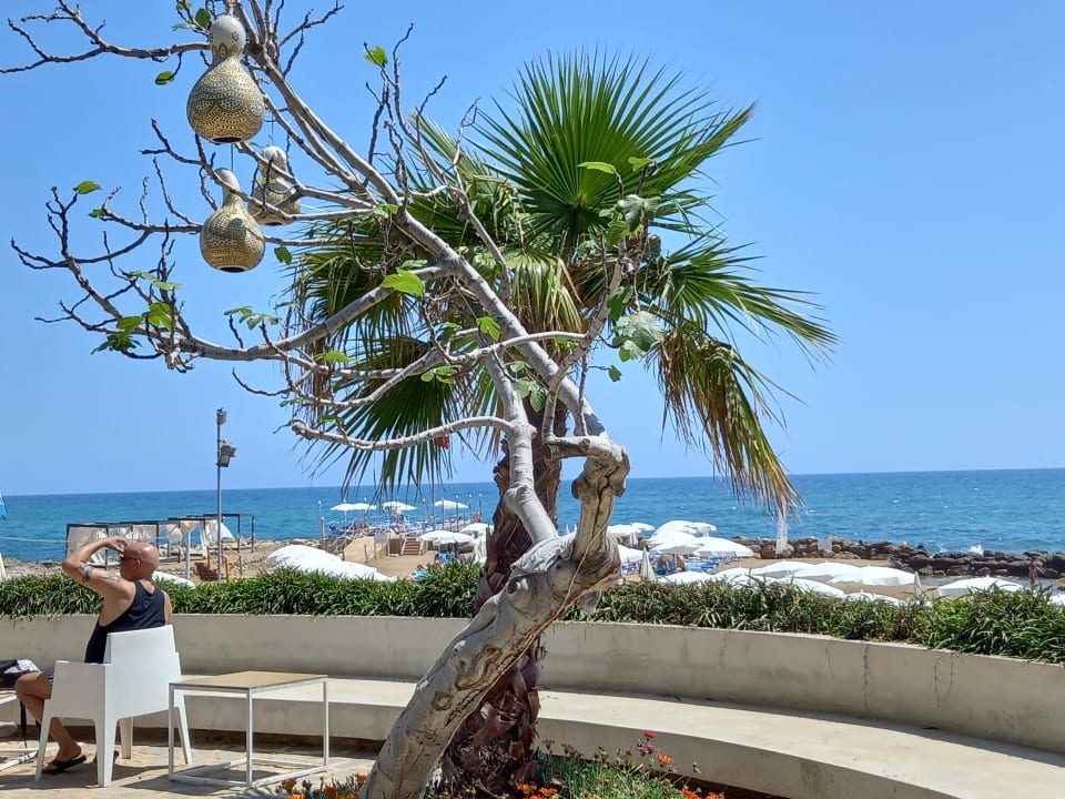 Strand Numa Bay Exclusive Hotel
