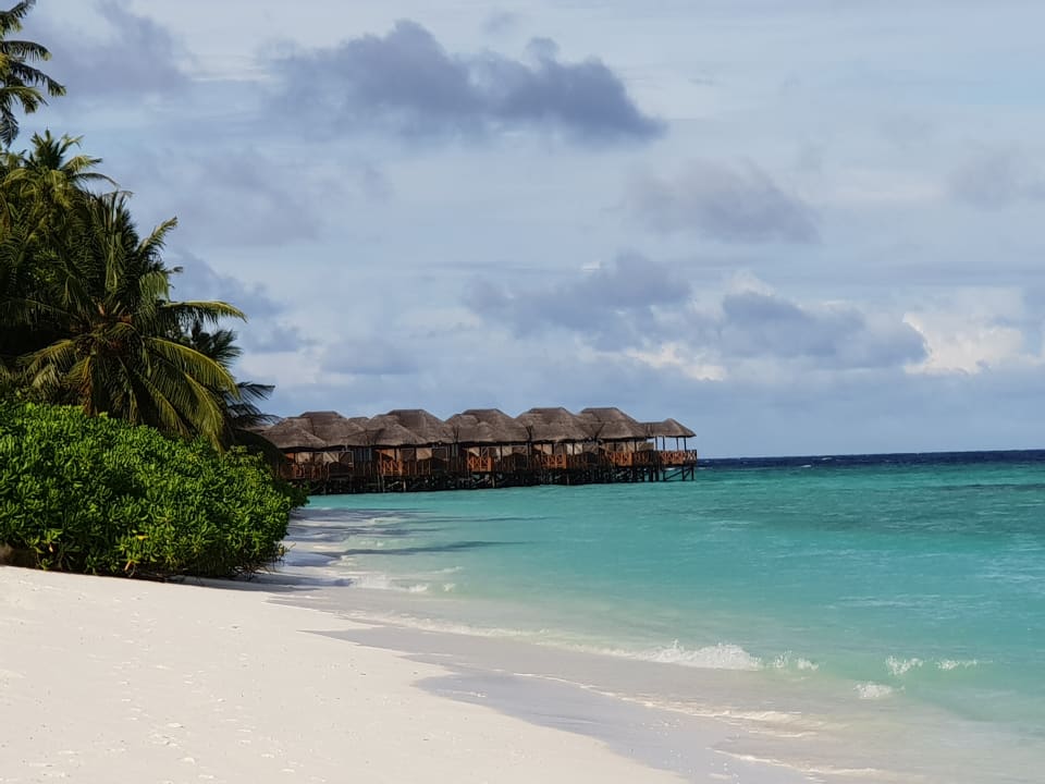 Ausblick Fihalhohi Maldives