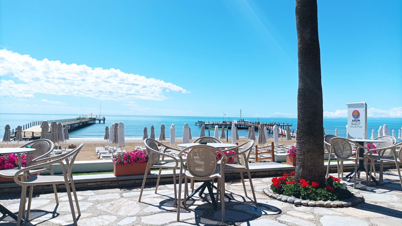 Gastro Arum Barut Collection