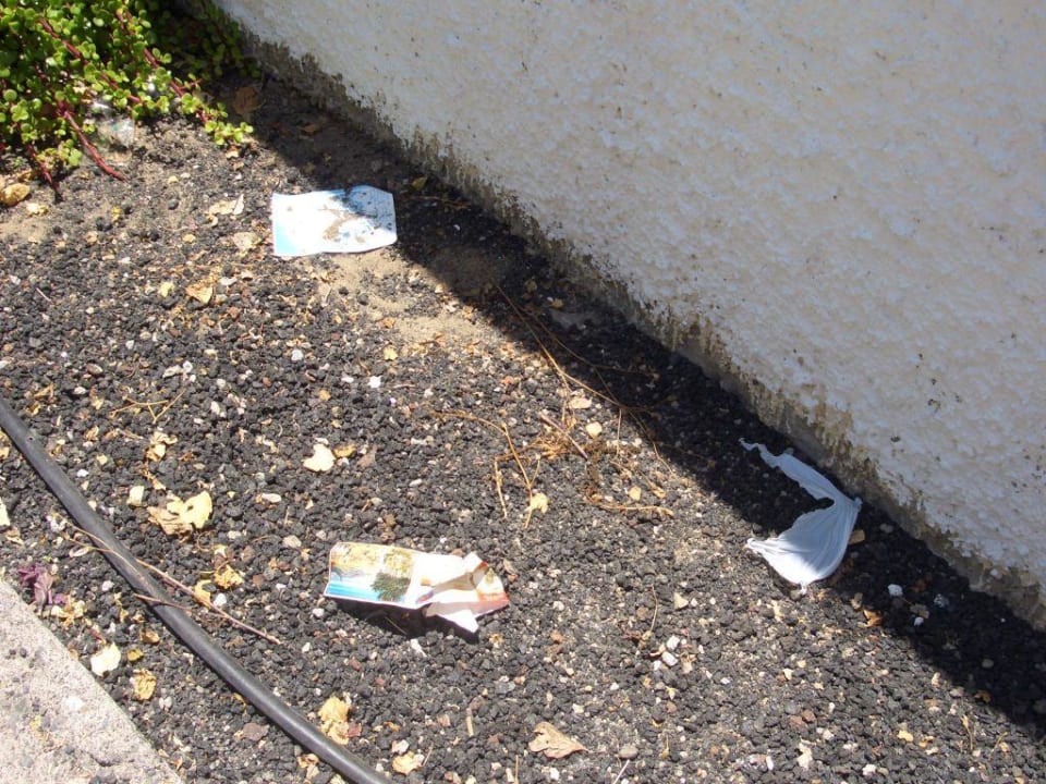 Gehweg Hotel Bungalows Duna Flor