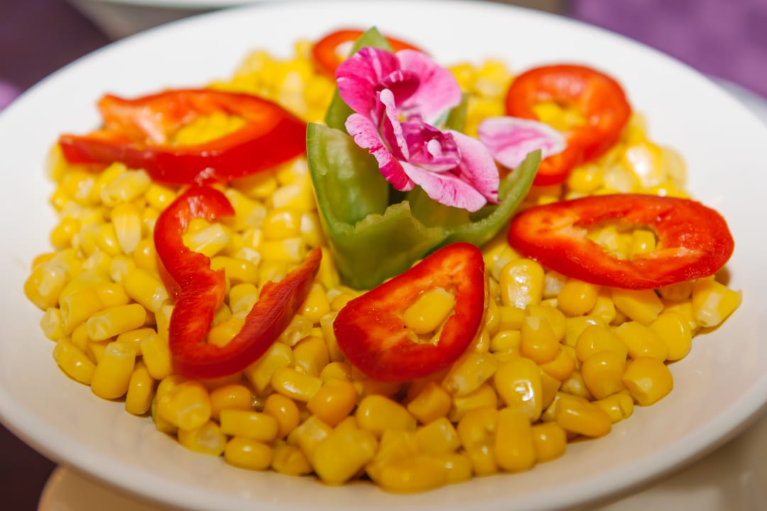 Gastro Michelangelo Resort