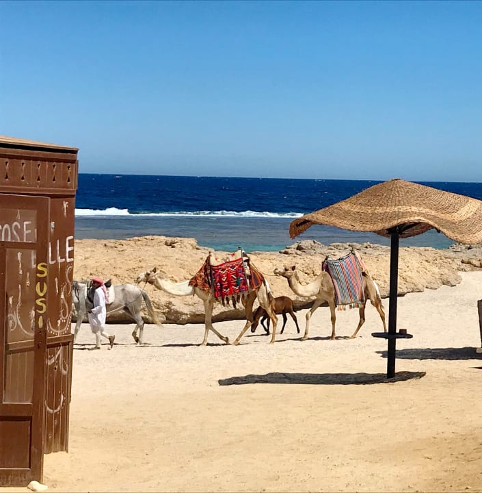 Strand Radisson Blu Resort, El Quseir