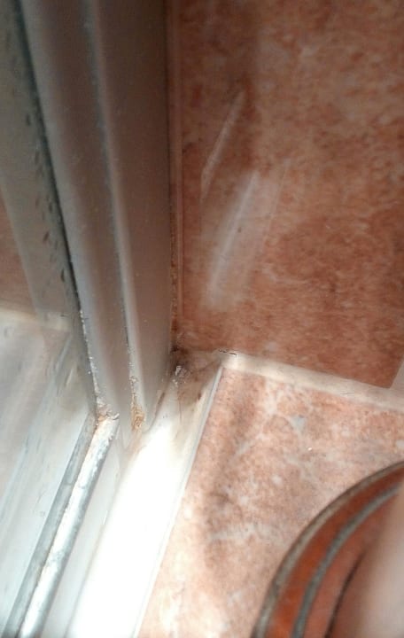 Schimmel im Bad Hotel Antoniushof