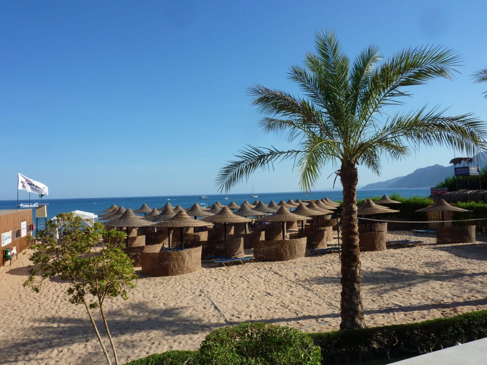 Blick auf's Meer JAZ Dahabeya