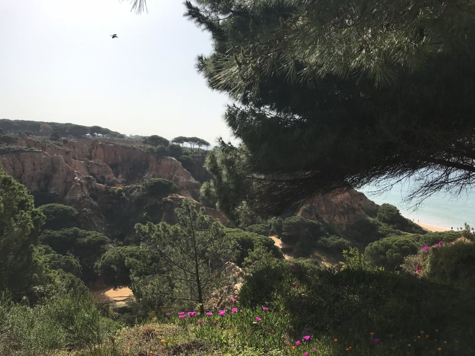 Ausblick PortoBay Falésia