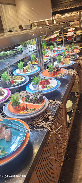 Gastro Seashell Vega