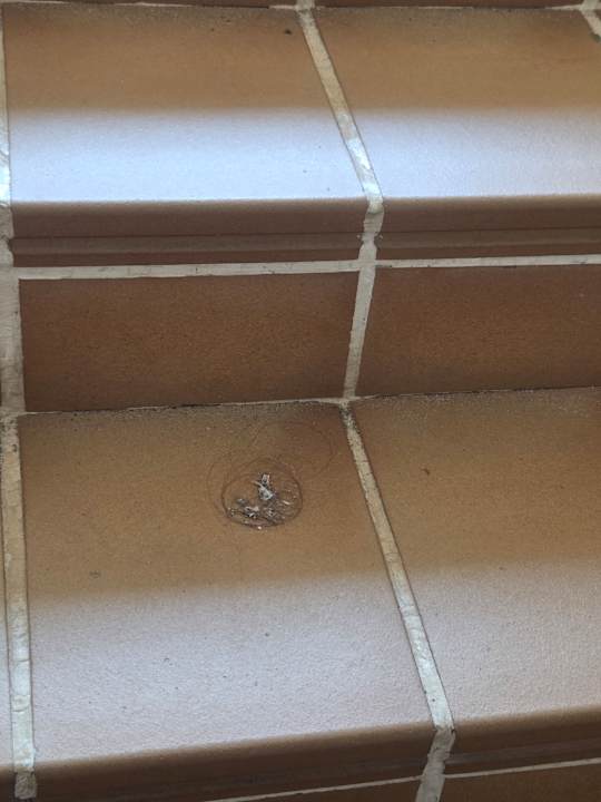 Sonstiges Hotel Riu Karamboa