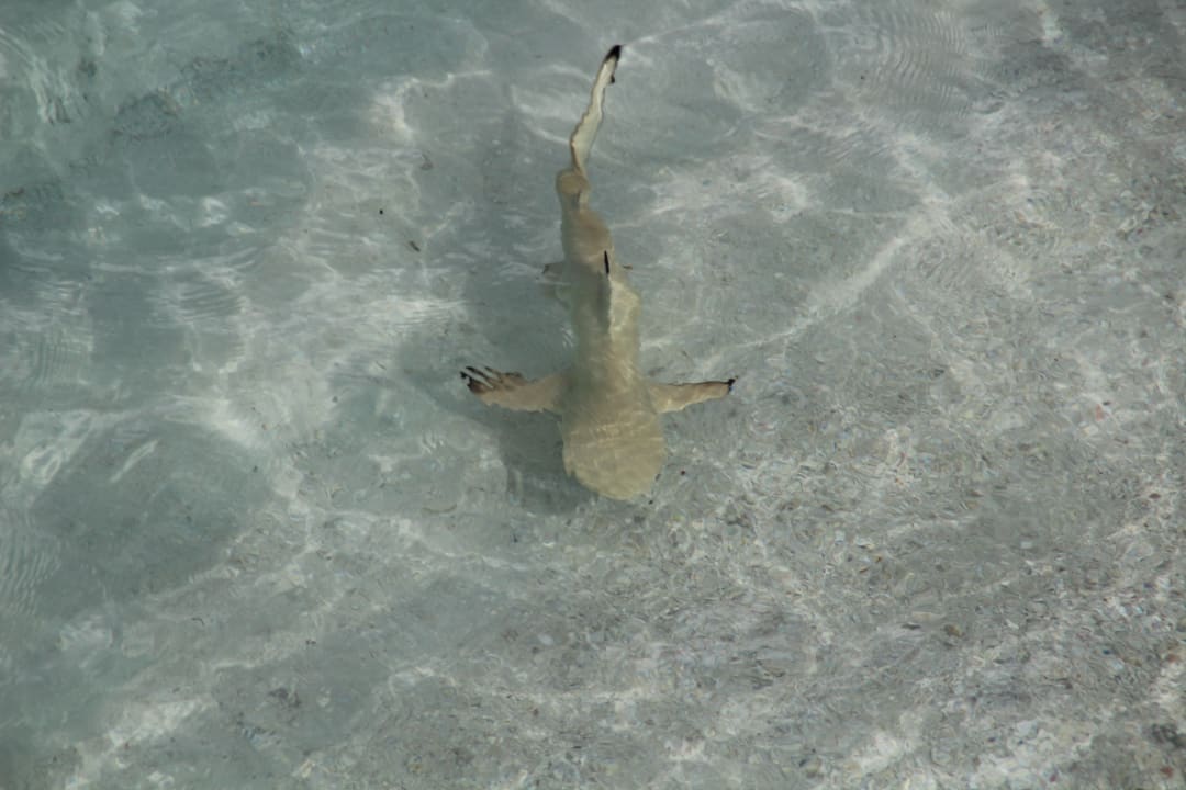 Strand Hondaafushi Island Resort