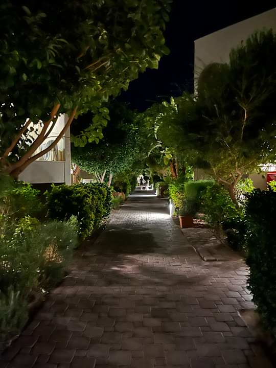 Gartenanlage Atlantica Aegean Blue