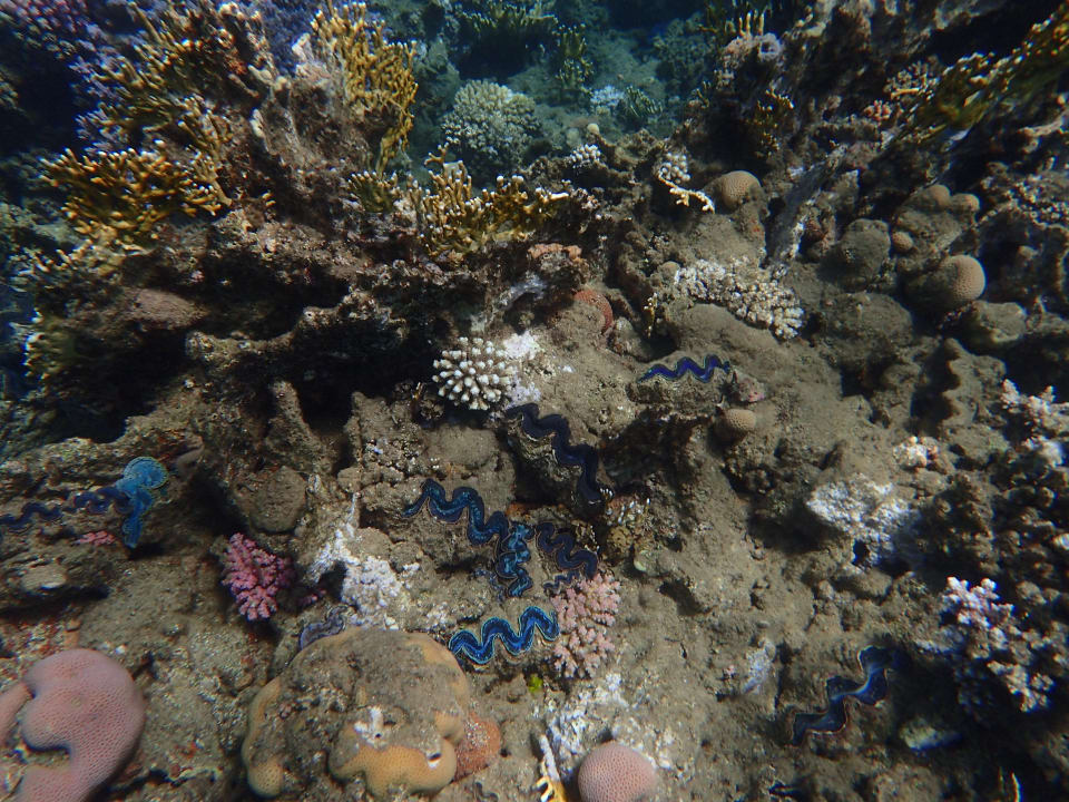 Strand Three Corners Equinox Beach Resort