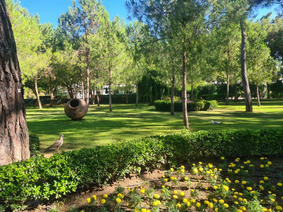 Gartenanlage Balmy Foresta