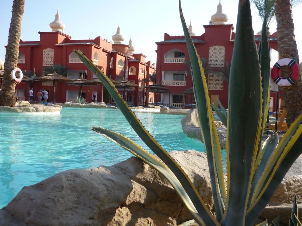 Schön anzusehen, aber sehr kalt Pickalbatros Alf Leila Wa Leila Resort - Neverland Hurghada