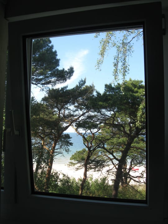 Widok z okien Ferienanlage Baltyk