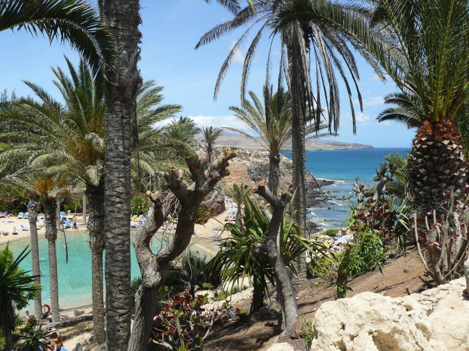 Lagune zum Meer R2 Rio Calma Hotel & Spa & Conference