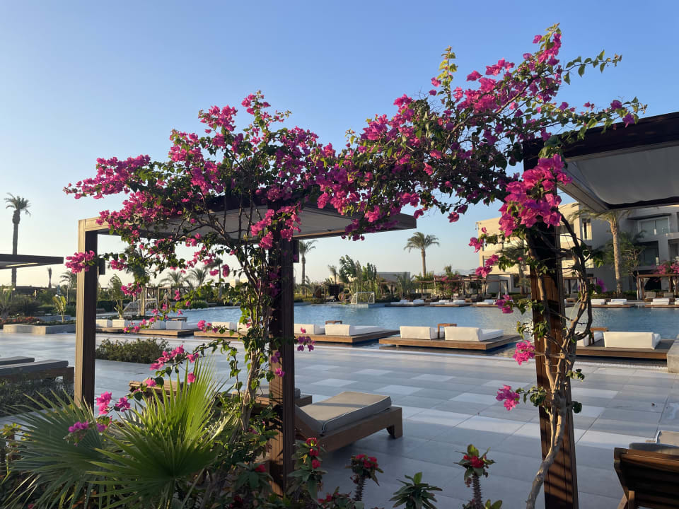 Pool Steigenberger Resort Ras Soma