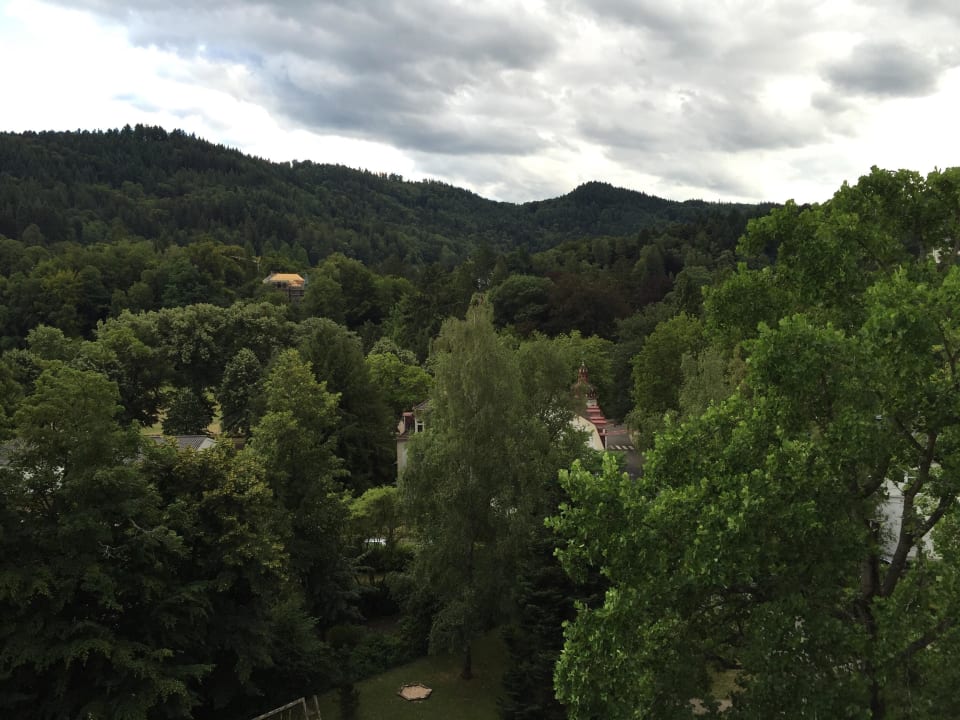 Ausblick Zimmer 510 Leonardo Royal Hotel Baden-Baden