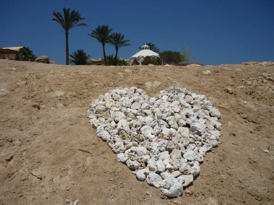 Coraal hart Steigenberger Coraya Beach - Adults only