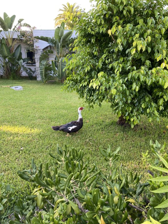 Außenansicht Aldiana Club Rocca Nettuno Calabria