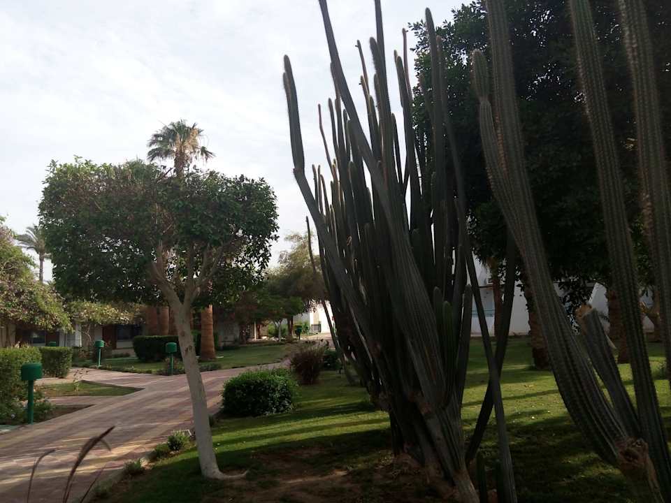 Top Shams Safaga Resort