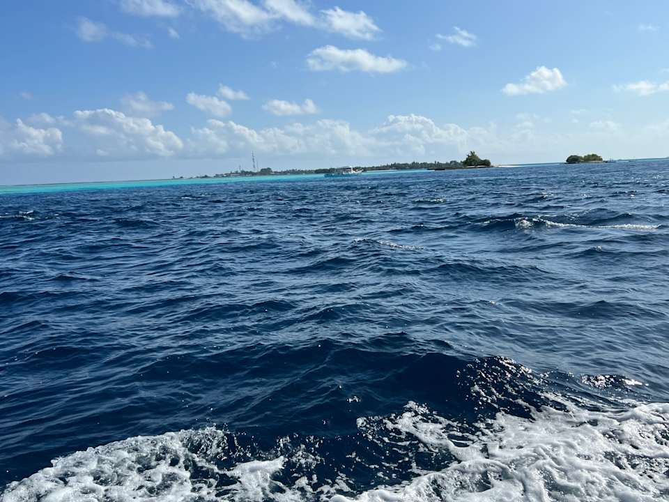 Ausblick Vilamendhoo Island Resort & Spa