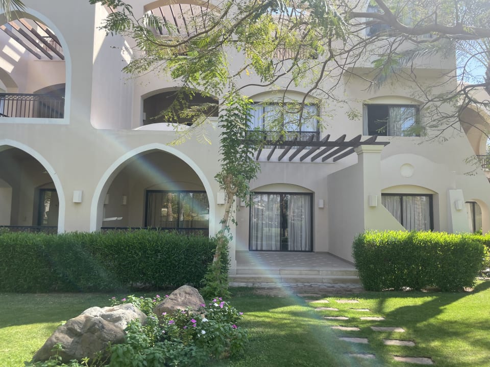 Zimmer JAZ Neo Saraya Palms