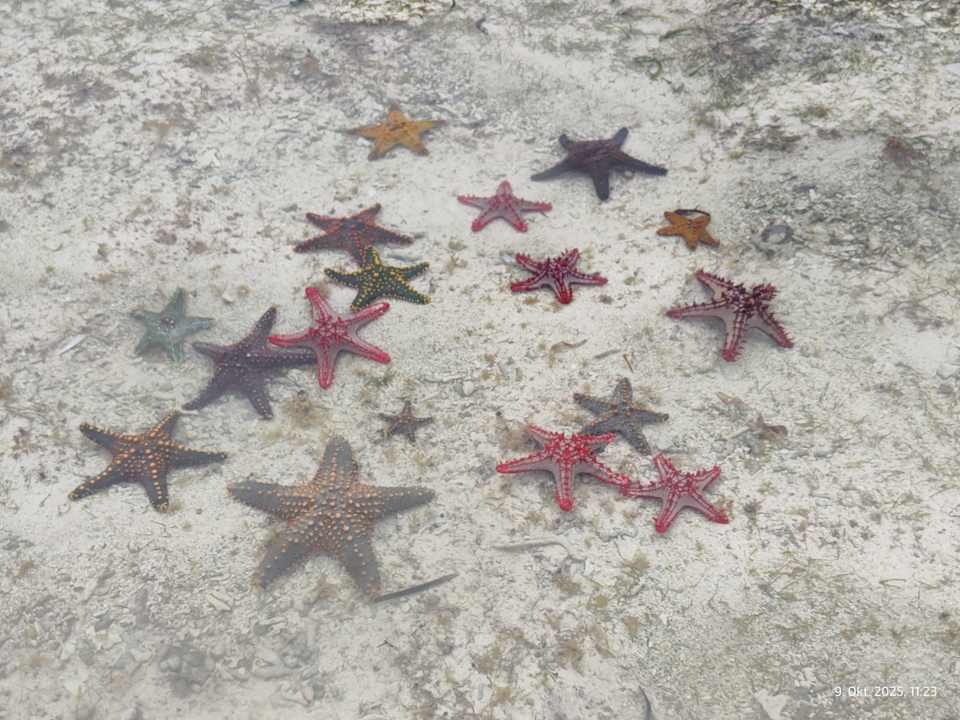 Ausblick Sultan Sands Island Resort & Spa