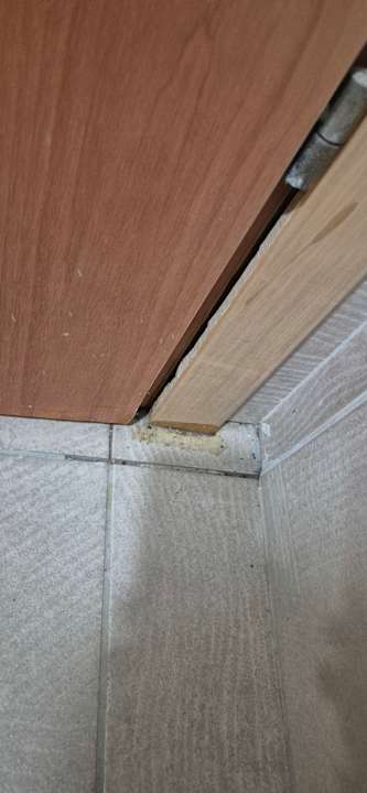 Zimmer alltoura Club Hotel Kiotari Miraluna