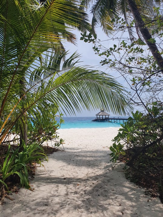 Ausblick NH Collection Maldives Reethi Resort