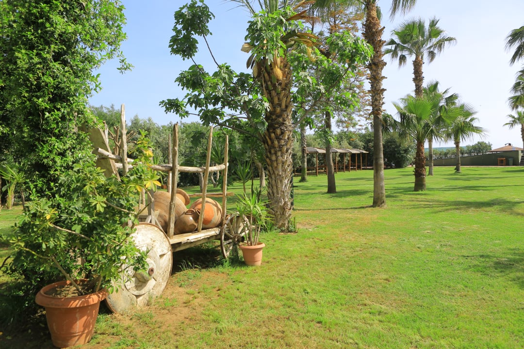 Gartenanlage Caretta Beach Hotel