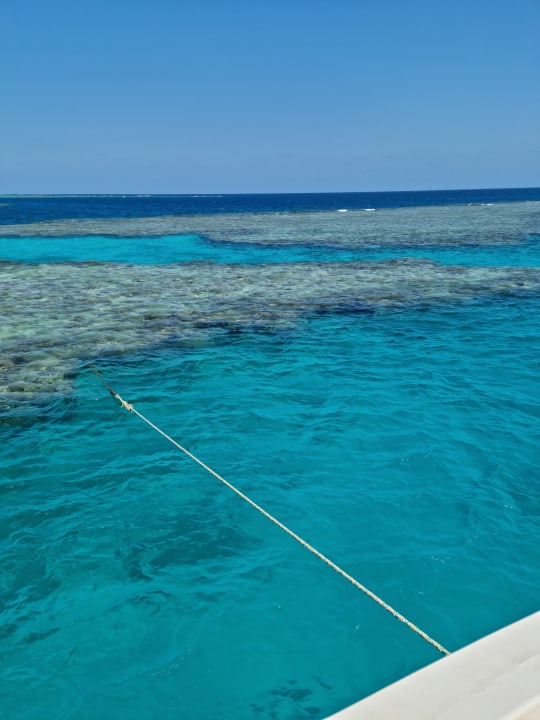 Strand Steigenberger Coraya Beach - Adults only