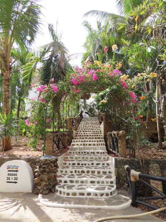 Gartenanlage Hotel Scorpio Villas