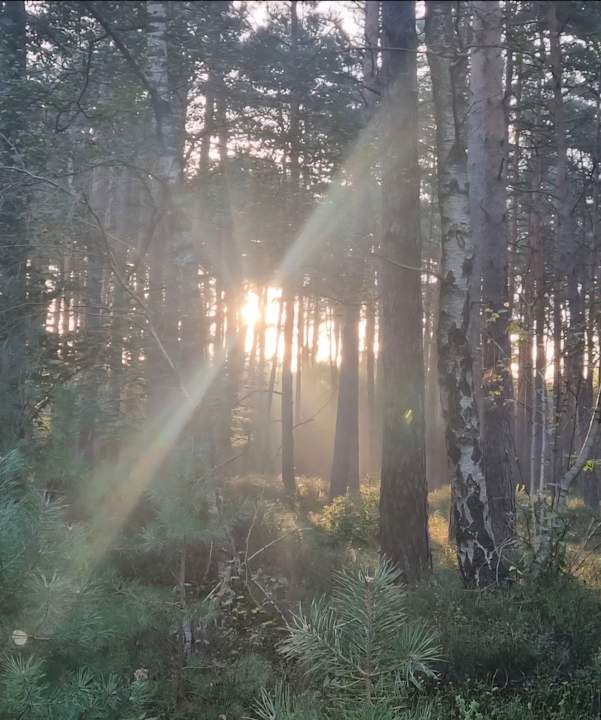 Außenansicht Ferienhof Zur Alten Fuhrmanns-Schänke