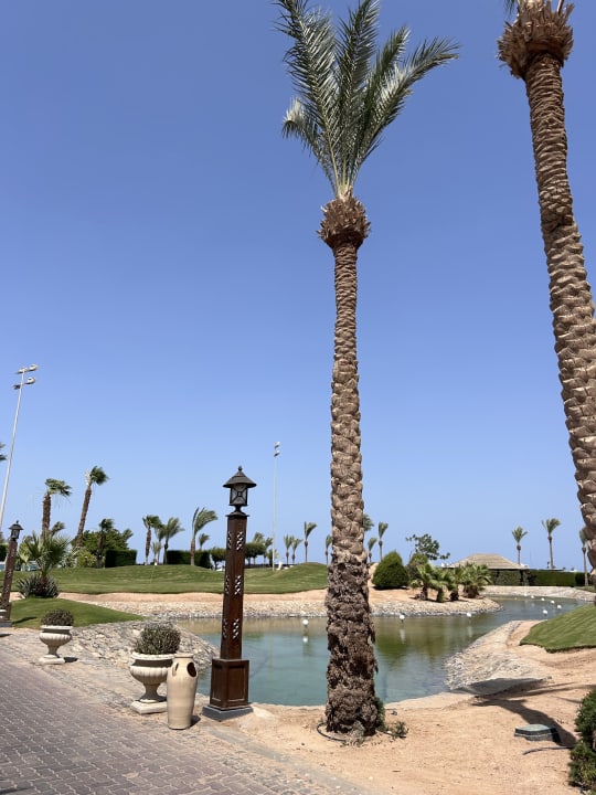 Gartenanlage Steigenberger Aqua Magic