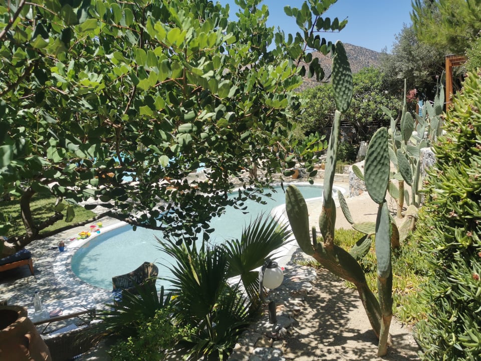 Gartenanlage Paralos Irini Mare