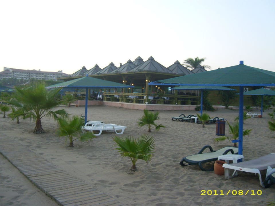 Beachbar Paloma Oceana