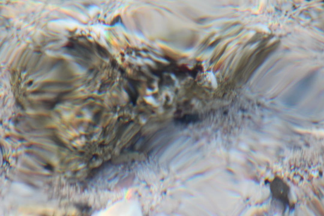 Wasser Steigenberger Coraya Beach - Adults only