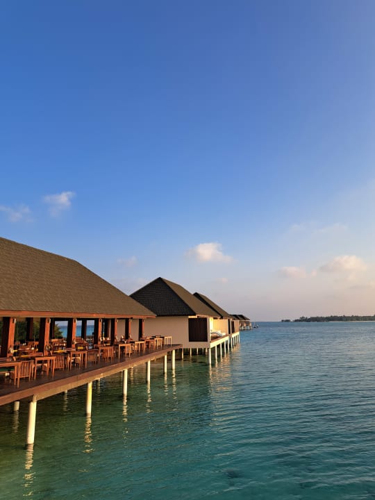 Gastro Summer Island Maldives