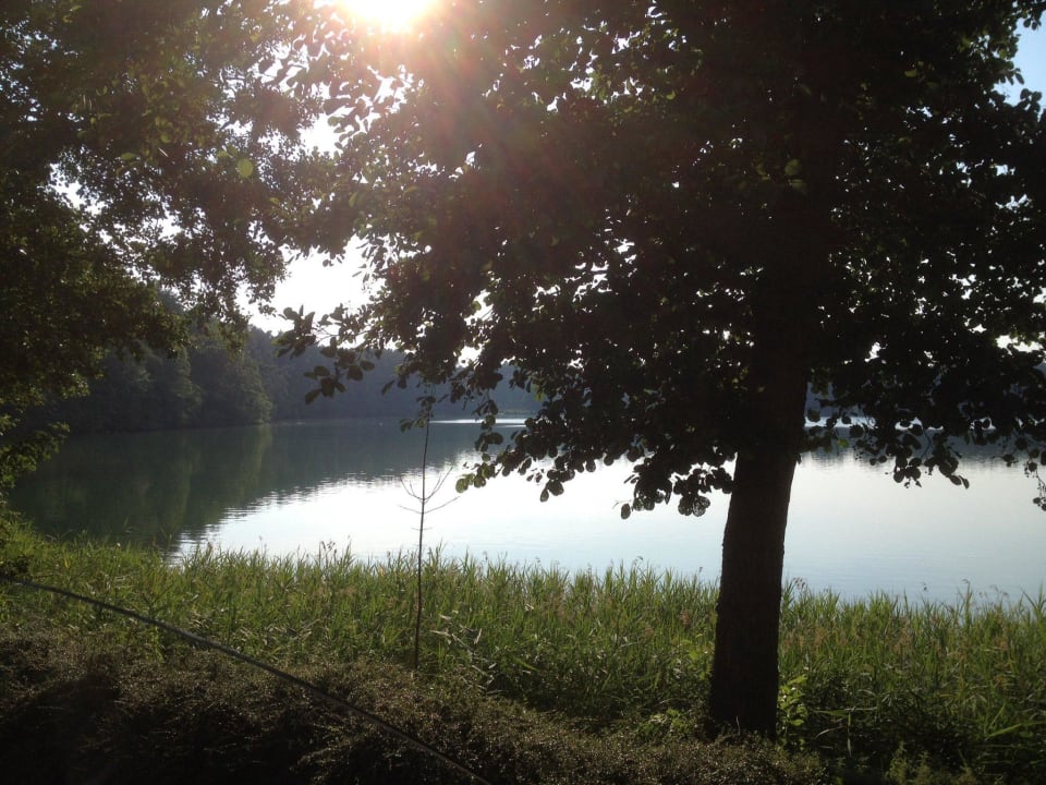 Ausblick auf dem See Seehotel Lindenhof