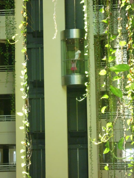 Aufzüge Blau varadero - Adults only