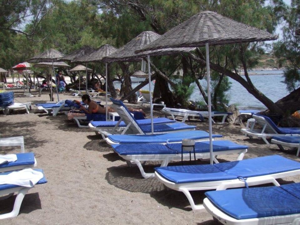 Sonnenliegen Tamarisk Murat Hotel