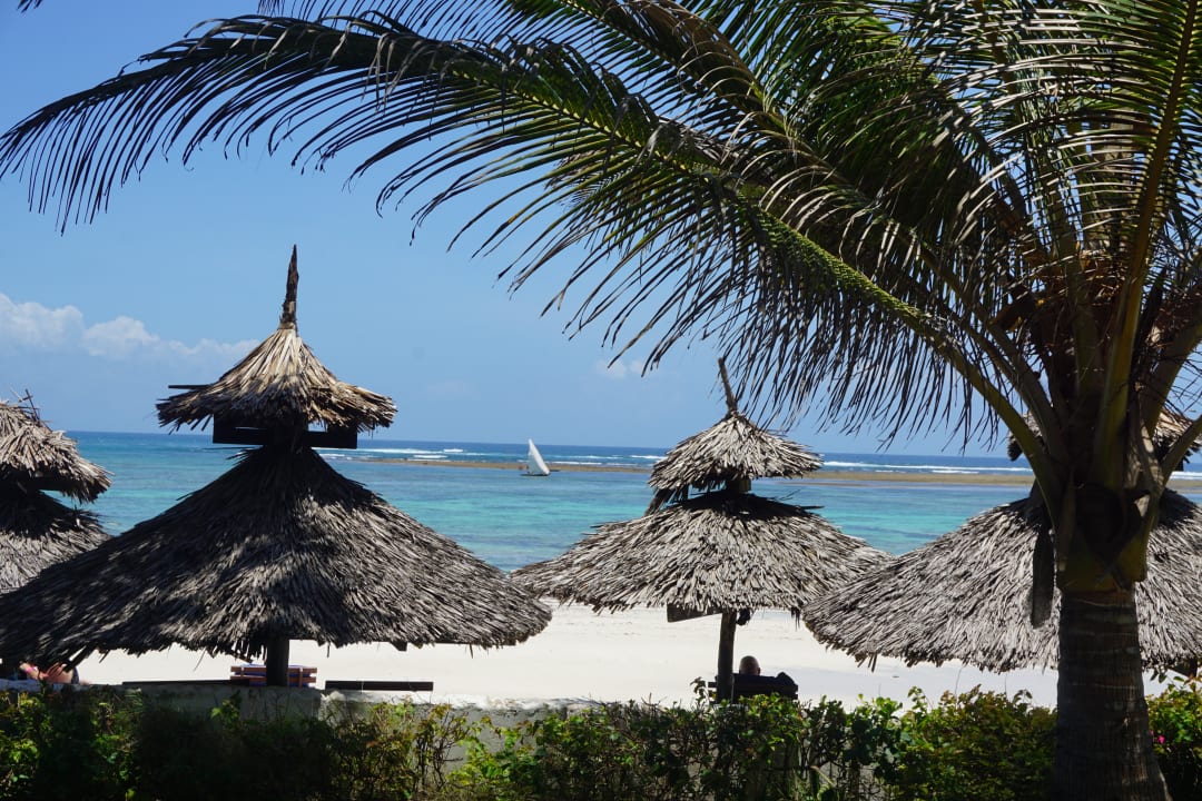 Gartenanlage Hotel Southern Palms Beach Resort