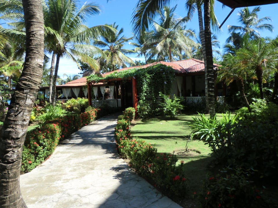 Restaurant Viva Tangerine by Wyndham - All Inclusive Resort