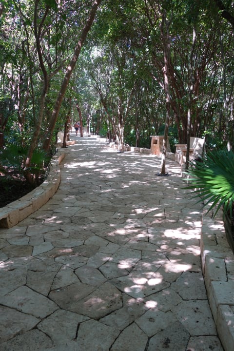 Gartenanlage Catalonia Royal Tulum Beach & Spa Resort - Adults only