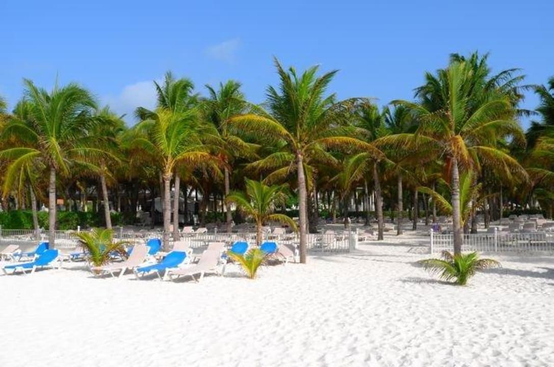 Blick zum hoteleigenen Strand (hinter dem Zaun) Hotel Riu Palace Riviera Maya