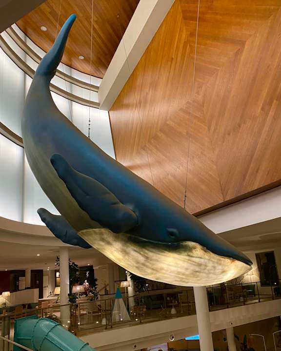 Lobby Iberostar Waves Gaviotas Park