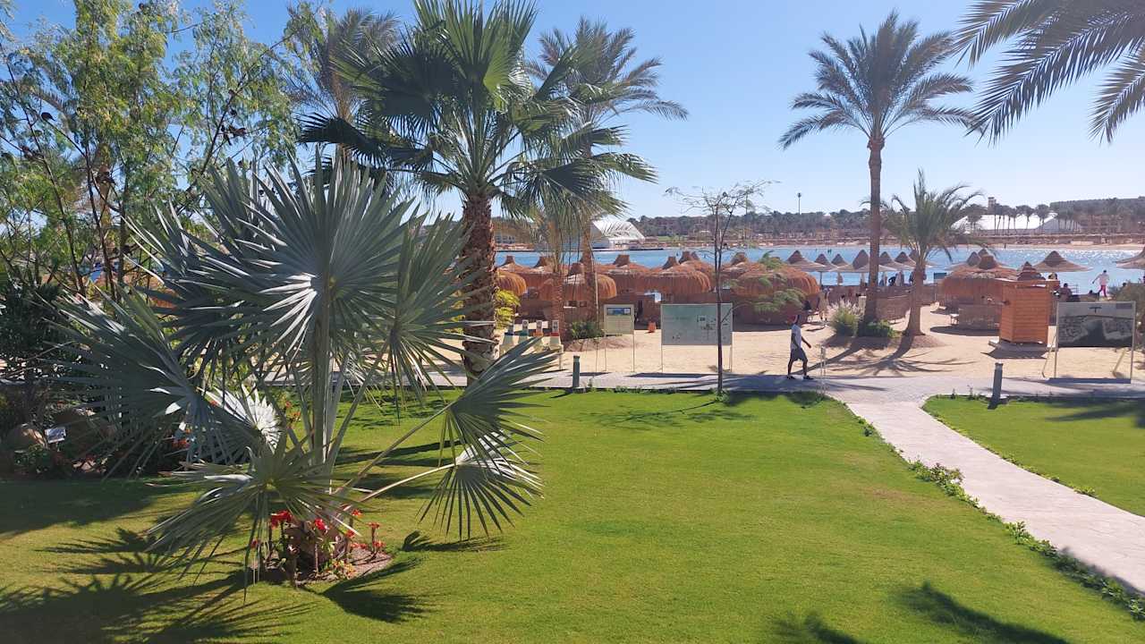 Gartenanlage Steigenberger Coraya Beach - Adults only