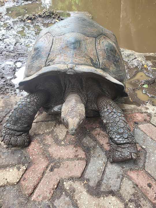 Sonstiges Hotel Riu Palace Zanzibar