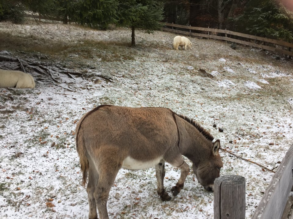 Sonstiges Oberjoch - Familux Resort