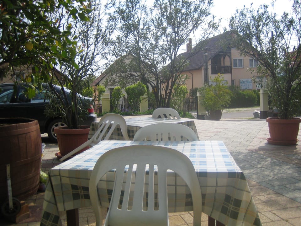 Blick von der Terrasse Richtung Strasse Hotel Nadas