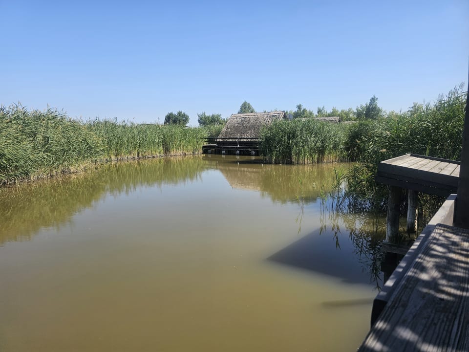 Ausblick Seehütte Neusiedlersee - Urlaub am Wasser - Seehütte Sonnendeck